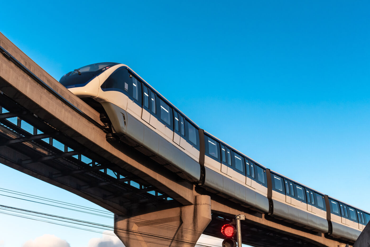 Elevated monorail transit line, Esvicon infrastructure
